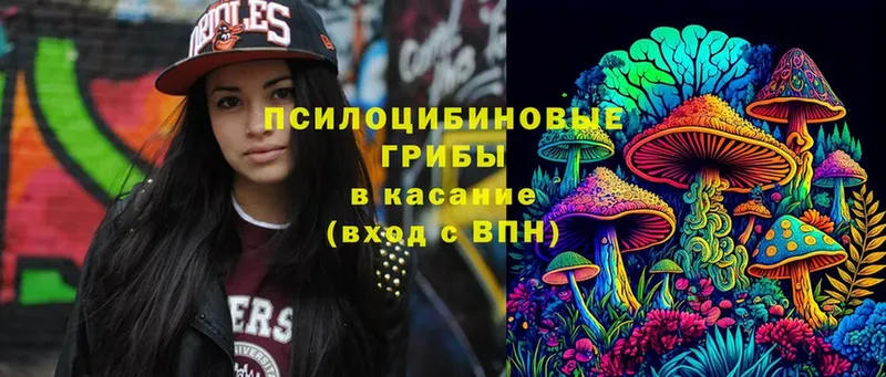 Галлюциногенные грибы Magic Shrooms Багратионовск